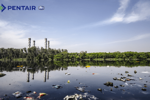 Ô nhiễm nguồn nước là một trong những vấn đề đáng báo động hiện nay