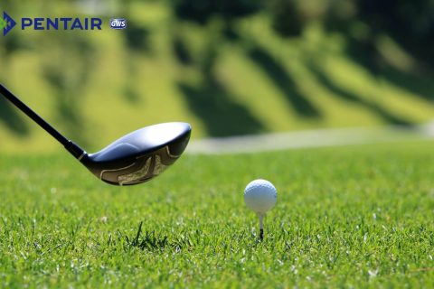 Golf đã dần trở thành bộ môn thể thao phổ biến ngày nay