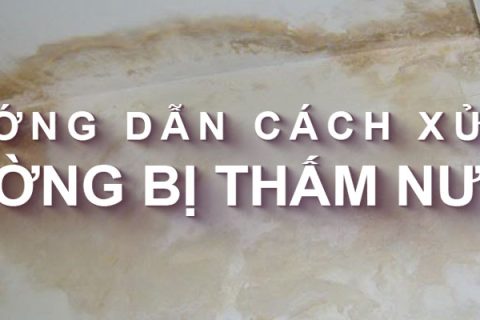 Tường bị thấm nước: Nguyên nhân và cách xử lý